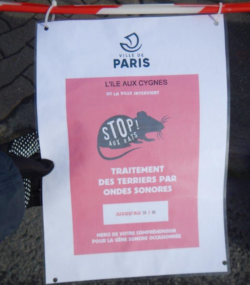 affiche rats crop.png